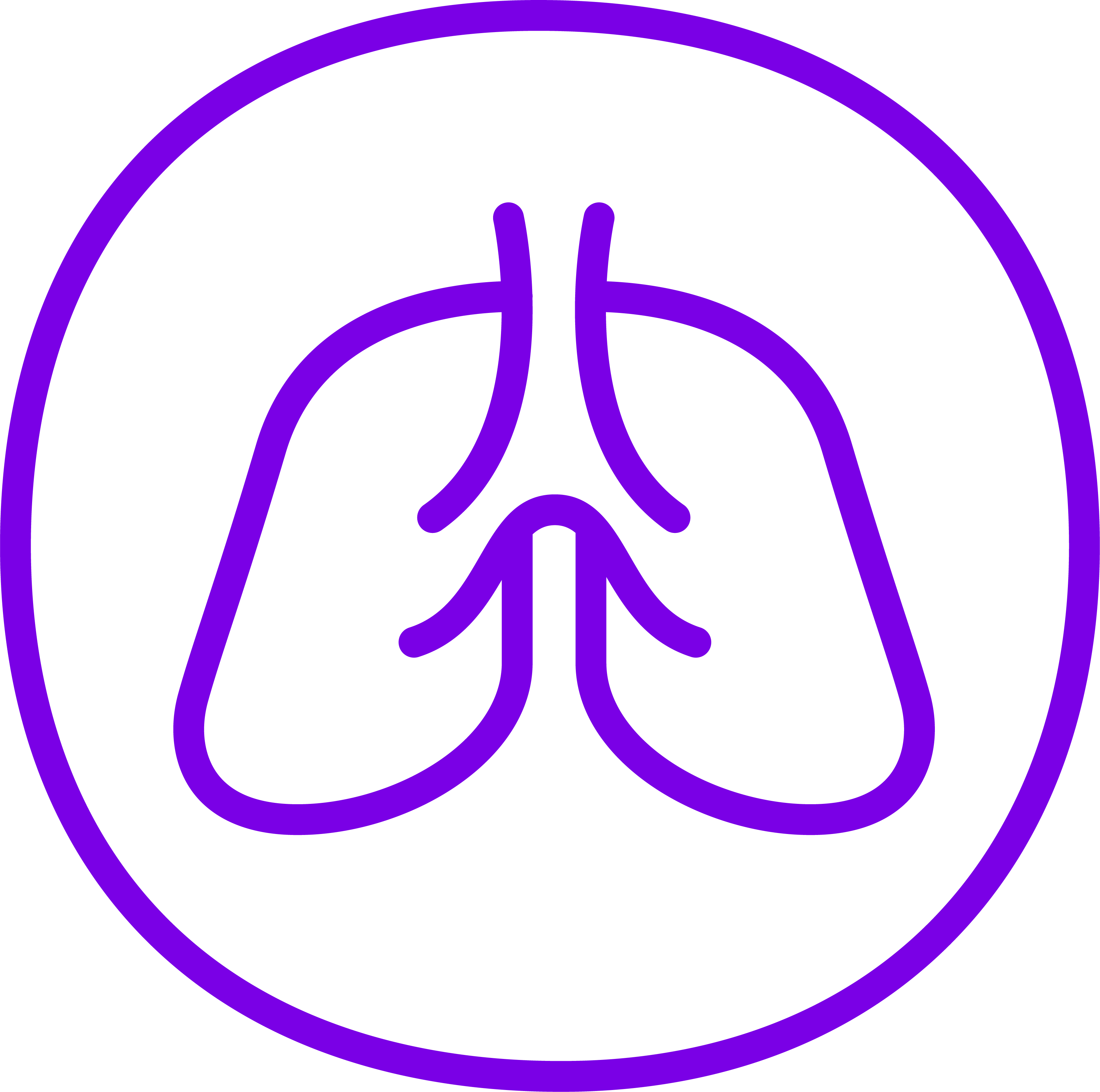 Lung icon